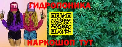 Альфа ПВП Моздок