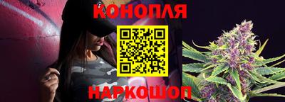 Альфа ПВП Моздок