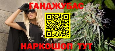 Альфа ПВП Моздок