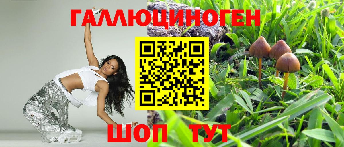 Галлюциногенные грибы Magic Shrooms Чернушка