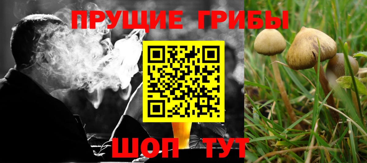 Чернушка  Галлюциногенные грибы Cubensis  Вход с VPN  Псилоцибиновые грибы Magic Shrooms 